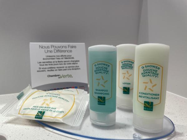 Quality Inn : photo 6 de la chambre chambre lit king-size standard - non-fumeurs / pas d'animaux domestiques