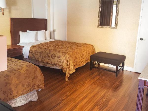 Pacific Heights Inn : photo 3 de la chambre chambre double avec 2 lits doubles - accessible aux personnes à mobilité réduite