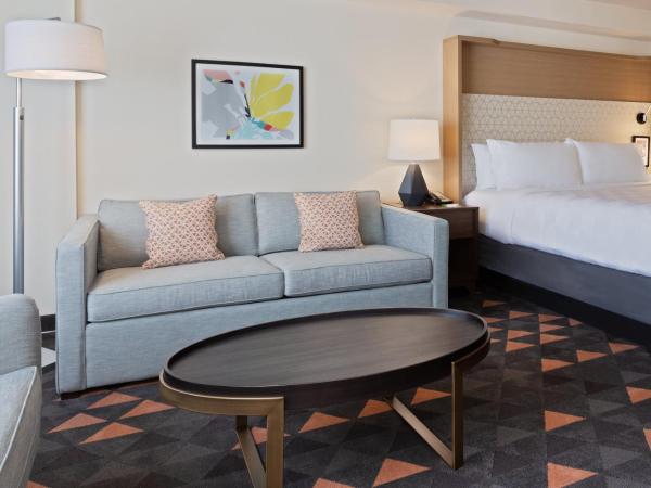 Holiday Inn & Suites Across From Universal Orlando, an IHG Hotel : photo 6 de la chambre chambre lit king-size standard