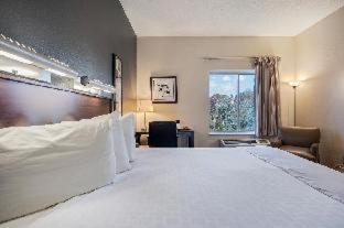 Suburban Studios : photo 6 de la chambre room #5992425