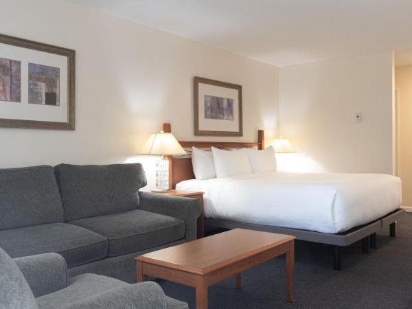 Robin Hood Inn and Suites : photo 6 de la chambre studio lit king-size avec cuisine en option