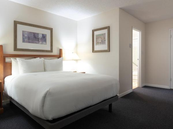 Robin Hood Inn and Suites : photo 3 de la chambre chambre standard lit queen-size