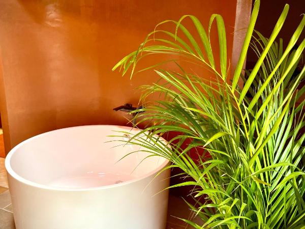 Villa Louisa : photo 6 de la chambre suite avec terrasse et jacuzzi privé