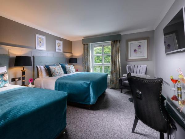 Killarney Dromhall Hotel : photo 2 de la chambre chambre lits jumeaux