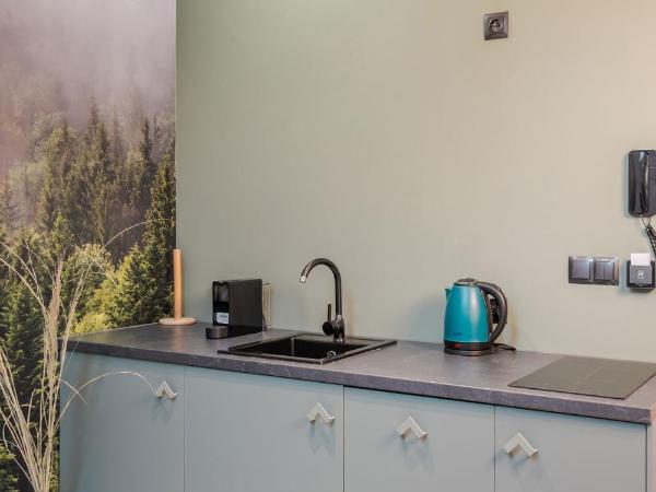 Leśna Kąpiel : photo 3 de la chambre appartement Économique