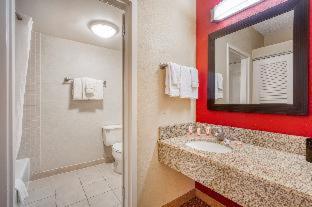 Super 8 by Wyndham Dallas Love Field Airport : photo 3 de la chambre room #26716841