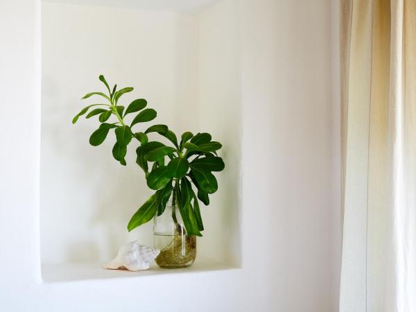 Casa Violeta : photo 3 de la chambre bungalow