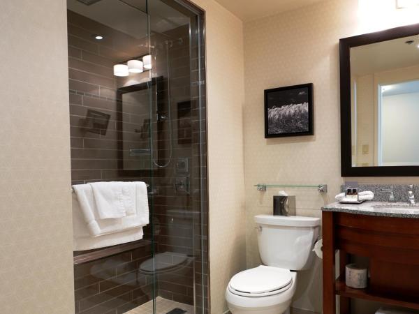 Fairmont Winnipeg : photo 3 de la chambre chambre lit queen-size - vue sur ville