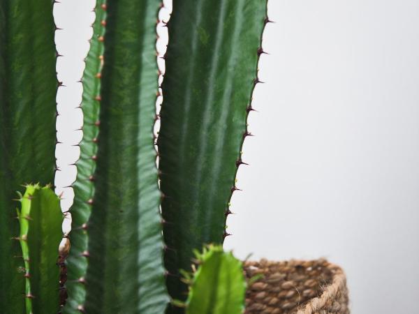 Salotto Brè - Bed & Breakfast charming rooms : photo 9 de la chambre chambre familiale avec salle de bains privative