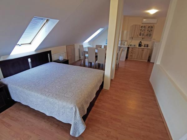 Magic Holiday Vendégház : photo 2 de la chambre studio mansardé