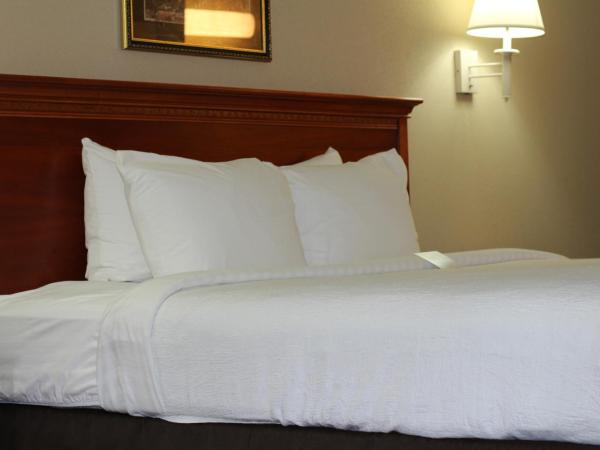 Country Inn & Suites by Radisson, Lackland AFB San Antonio , TX : photo 4 de la chambre chambre lit king-size pour personnes à mobilité réduite - non-fumeurs