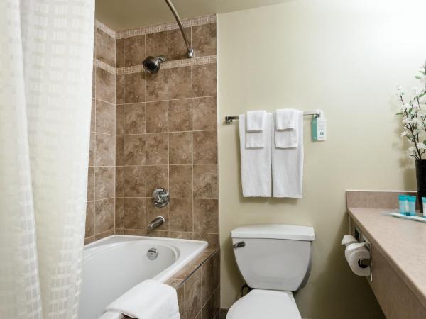 WelcomINNS Ottawa : photo 10 de la chambre chambre lit king-size