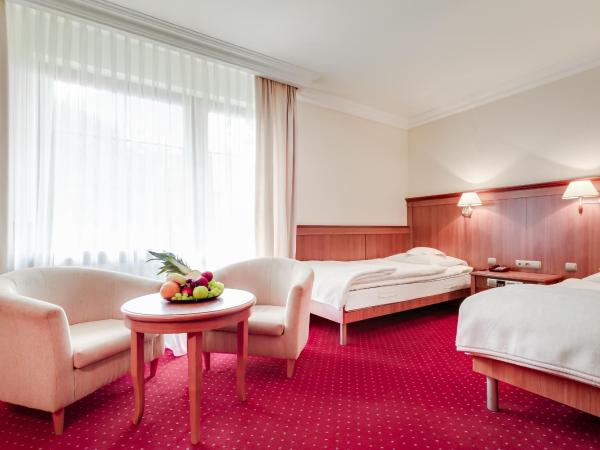 Hotel Konradówka Wellness & SPA - 300 metrów do centrum : photo 3 de la chambre petite chambre lits jumeaux