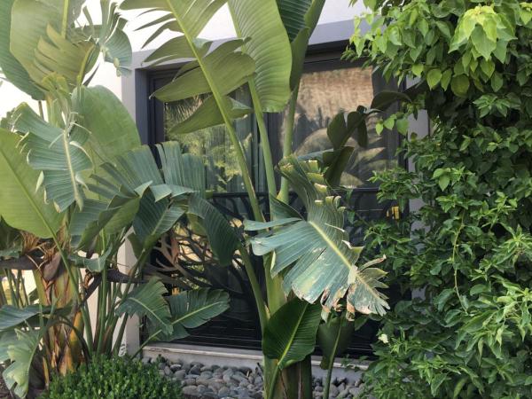 Villa Oliva Butik Hotel : photo 7 de la chambre chambre double - vue sur montagne