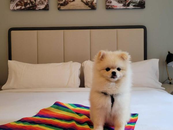 Citadines Connect Fifth Avenue New York : photo 4 de la chambre chambre standard