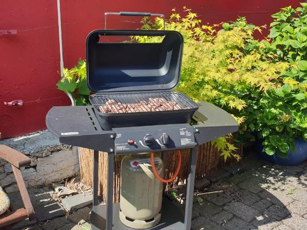 Schönste Lage am Rhein in unmittelbarer Stadtnähe, B & B : photo 7 de la chambre maison 2 chambres