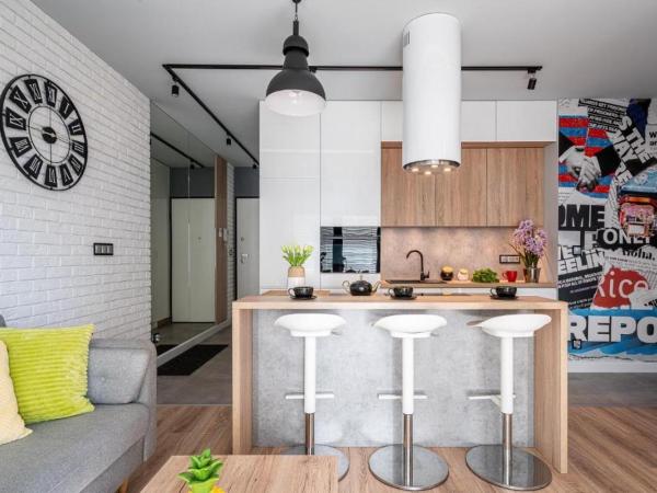 Art Apart nad Oławą Wrocław : photo 2 de la chambre appartement 1 chambre