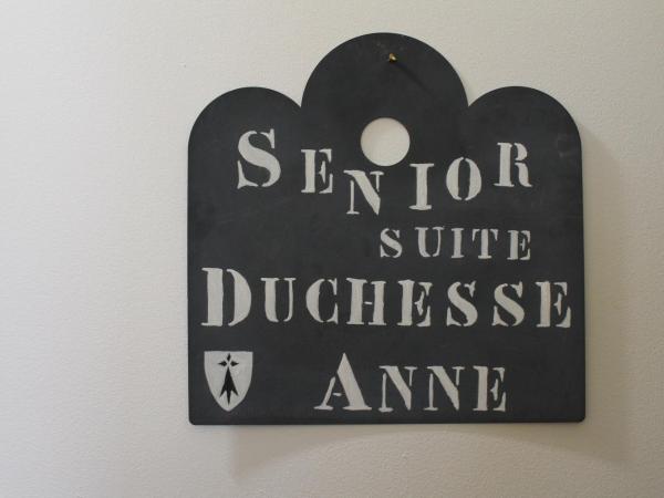 Duc de Bretagne Luxury Apparthotel : photo 7 de la chambre appartement 2 chambres