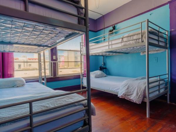 Lucky D's Youth and Traveler's Hostel : photo 3 de la chambre lit dans dortoir mixte de 4 lits