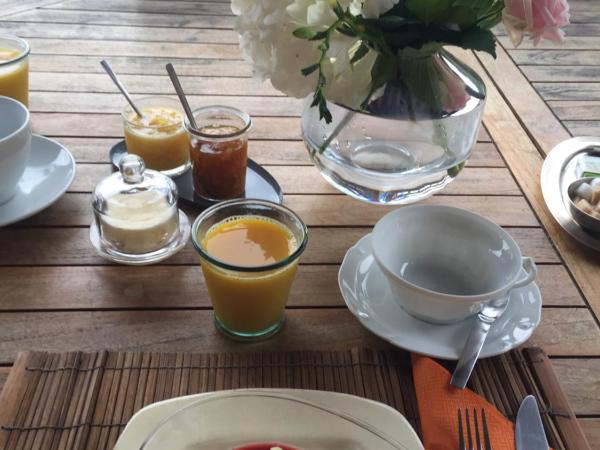 Lou Candelou : photo 8 de la chambre chambre double - vue sur jardin - lilas