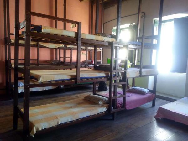 Fusion Guesthouse : photo 1 de la chambre lit superposé dans dortoir mixte