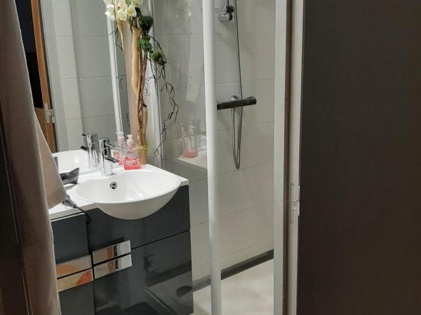 Hotel Régina : photo 1 de la chambre chambre double avec terrasse