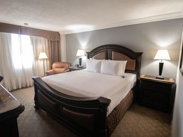 Wyndham Houston near NRG Park - Medical Center : photo 4 de la chambre chambre lit king-size avec douche accessible en fauteuil roulant - adaptée aux personnes à mobilité réduite/non-fumeurs