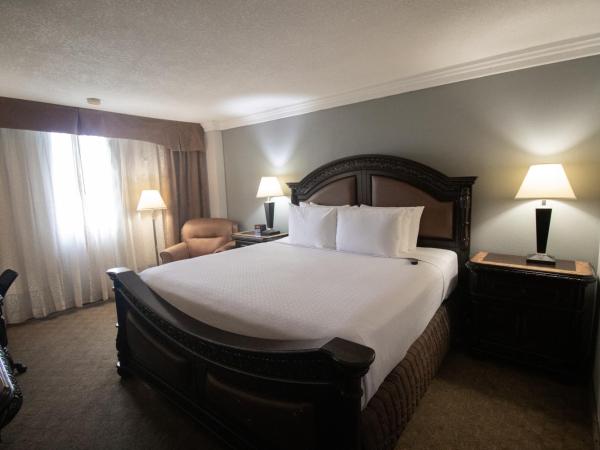 Wyndham Houston near NRG Park - Medical Center : photo 3 de la chambre chambre exécutive lit king-size - non-fumeurs