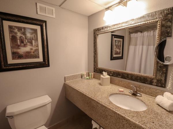 Wyndham Houston near NRG Park - Medical Center : photo 1 de la chambre chambre exécutive lit king-size - non-fumeurs