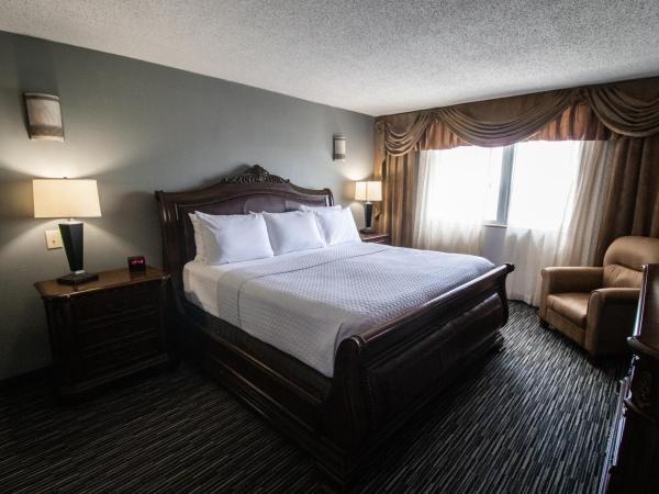 Wyndham Houston near NRG Park - Medical Center : photo 4 de la chambre chambre exécutive lit king-size - non-fumeurs