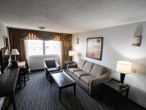 Wyndham Houston near NRG Park - Medical Center : photo 2 de la chambre suite 1 chambre lit king-size - non-fumeurs