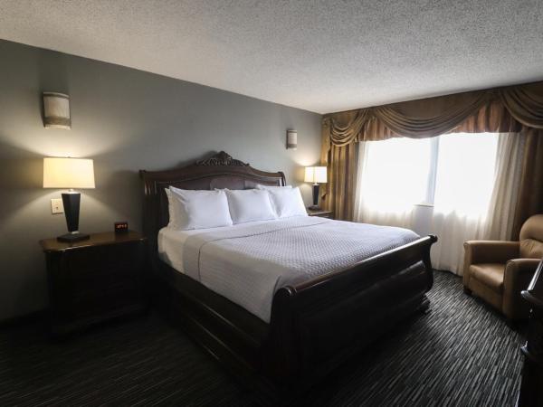 Wyndham Houston near NRG Park - Medical Center : photo 4 de la chambre suite 1 chambre lit king-size - non-fumeurs