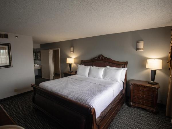 Wyndham Houston near NRG Park - Medical Center : photo 1 de la chambre suite junior lit king-size - non-fumeurs