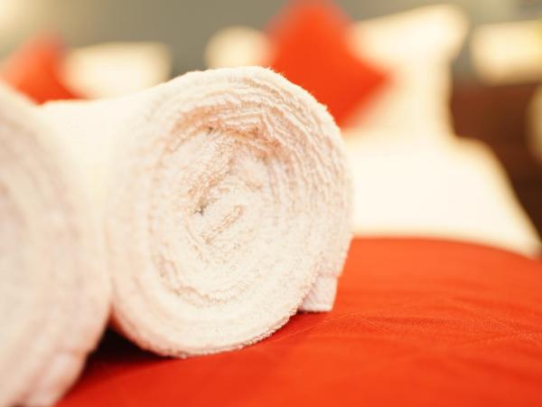 North Centre : photo 2 de la chambre chambre double de luxe avec ventilateur