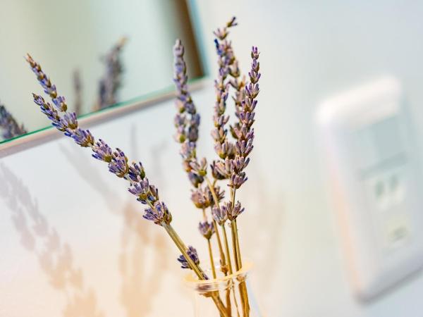 plat hostel keikyu sapporo sky : photo 9 de la chambre chambre lits jumeaux standard