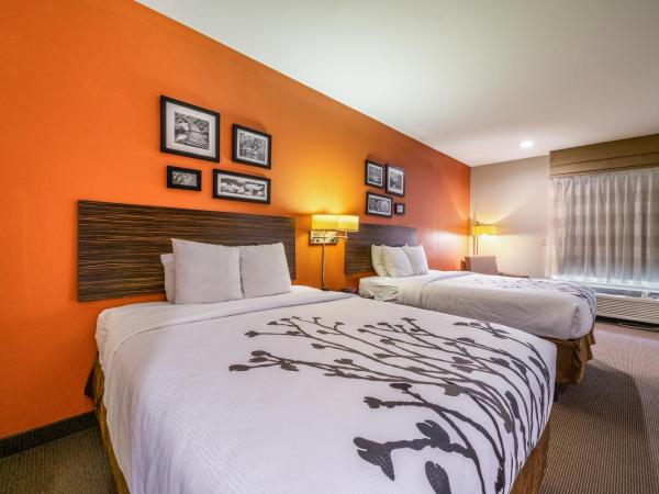 Restwell Inn & Suites I-45 North : photo 7 de la chambre chambre avec 2 grands lits queen-size 