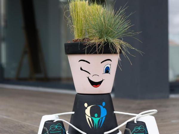 Abraços dos Avós - Casas de aldeia : photo 5 de la chambre maison 2 chambres