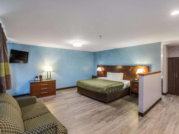 Quality Inn Atlanta Airport-Central : photo 2 de la chambre suite lit king-size – non-fumeurs