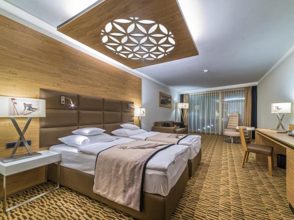 Rezydencja Nosalowy Dwór : photo 4 de la chambre chambre double ou lits jumeaux exécutive