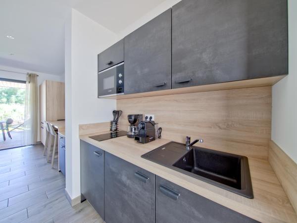 Résidence Pierre & Vacances Premium Les Terrasses d'Arsella : photo 4 de la chambre studio avec climatisation et grande terrasse (2 personnes)