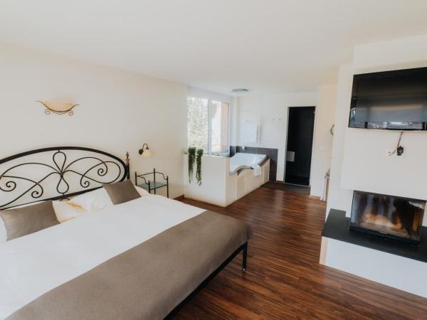 Wellnesshotel Schweizerhof : photo 2 de la chambre suite bien-Être