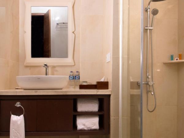 Gallery Prawirotaman Hotel : photo 4 de la chambre chambre double ou lits jumeaux supérieure