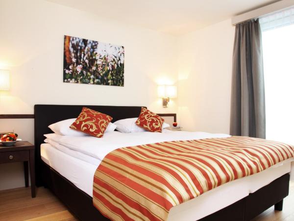 CITY STAY - Kieselgasse : photo 1 de la chambre grand appartement 1 chambre avec terrasse