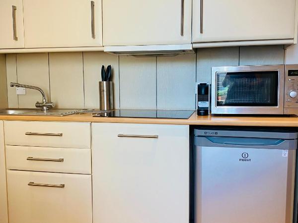 Siberia Bar & Hotel : photo 4 de la chambre appartement 2 chambres