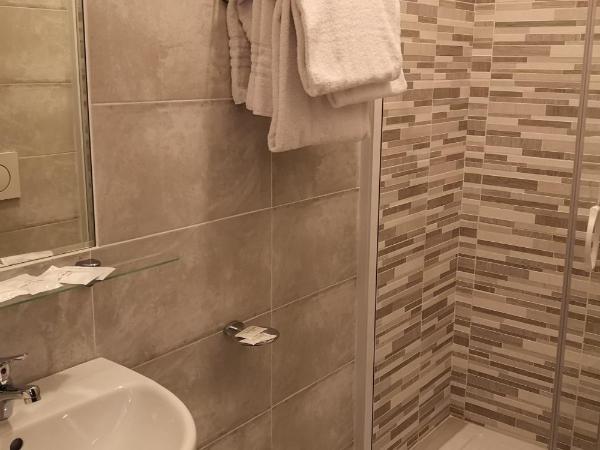 AUTO PARK Hotel : photo 1 de la chambre chambre simple