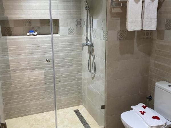 Golden Beach Appart'hotel : photo 10 de la chambre suite junior triple