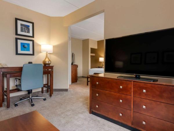 Comfort Suites Near Universal Orlando Resort : photo 3 de la chambre suite lit king-size