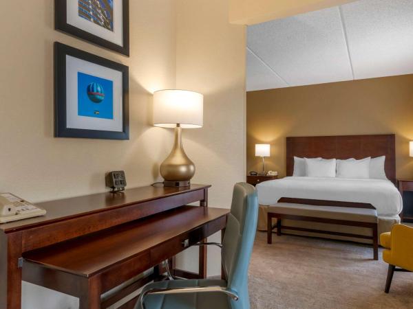 Comfort Suites Near Universal Orlando Resort : photo 4 de la chambre suite lit king-size