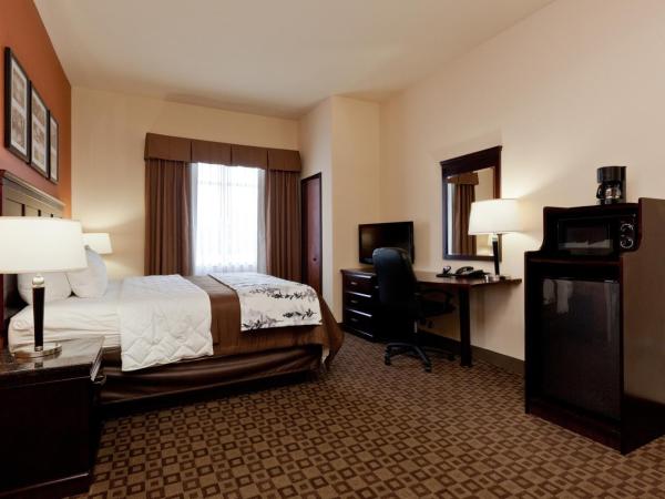 Sleep Inn & Suites Hwy 290-NW Freeway : photo 4 de la chambre chambre lit king-size standard - non-fumeurs