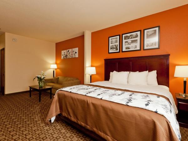 Sleep Inn & Suites Hwy 290-NW Freeway : photo 6 de la chambre suite lit king-size
